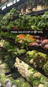 biton__adi Altpins Profile Picture