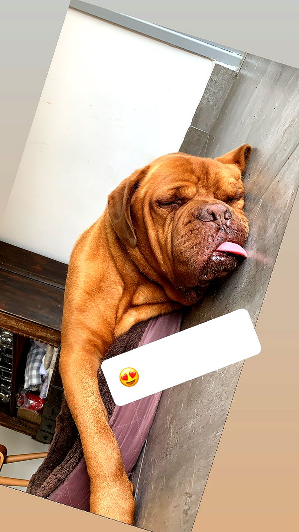 Archived image from @elaysolomon on Instagram