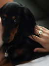 libby_reut Altpins Profile Picture