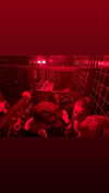 onlyway2liv Altpins Profile Picture