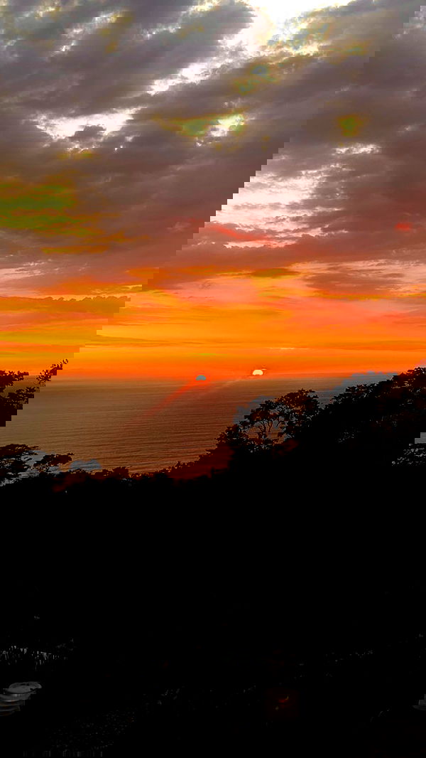 taylor.creeden taylor.creeden archive image