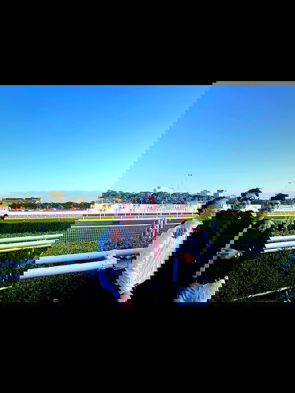 ellamwatts_ ellamwatts_ archive image