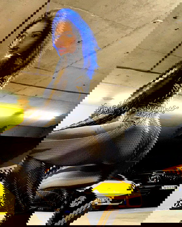 annfigmax image ~ Altpins