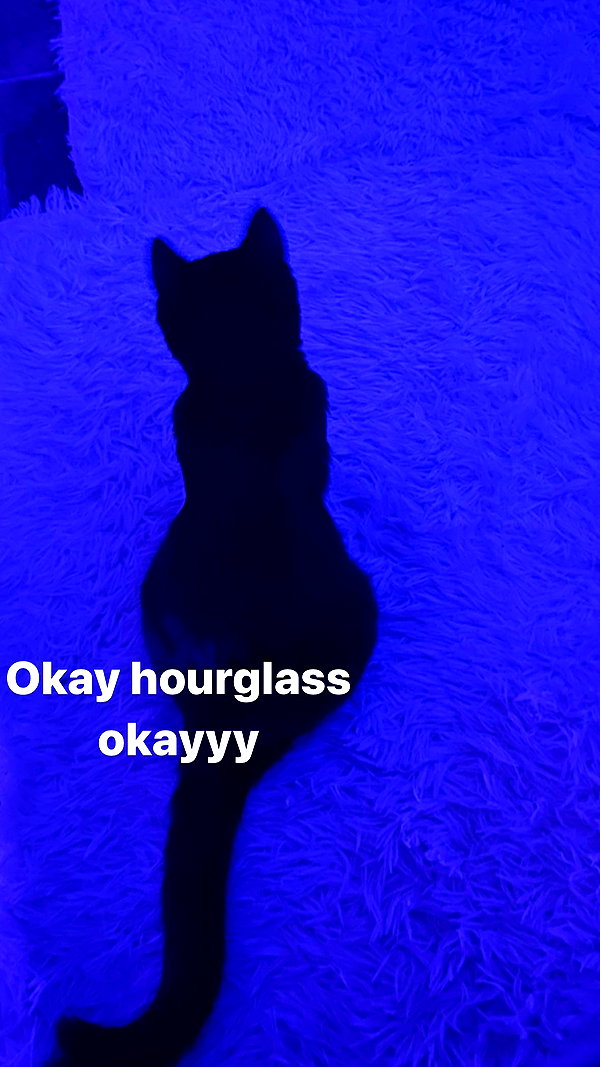 sylindathecat instagram image archive image