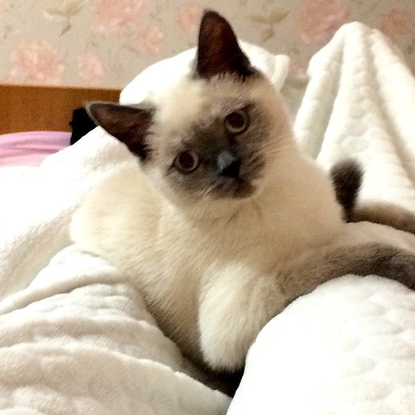 owlydiaa instagram image archive image