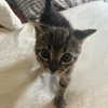 nishymoon_ Altpins Profile Picture