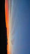 maori_cohen Altpins Profile Picture