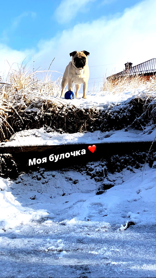 nyiityam instagram image archive image