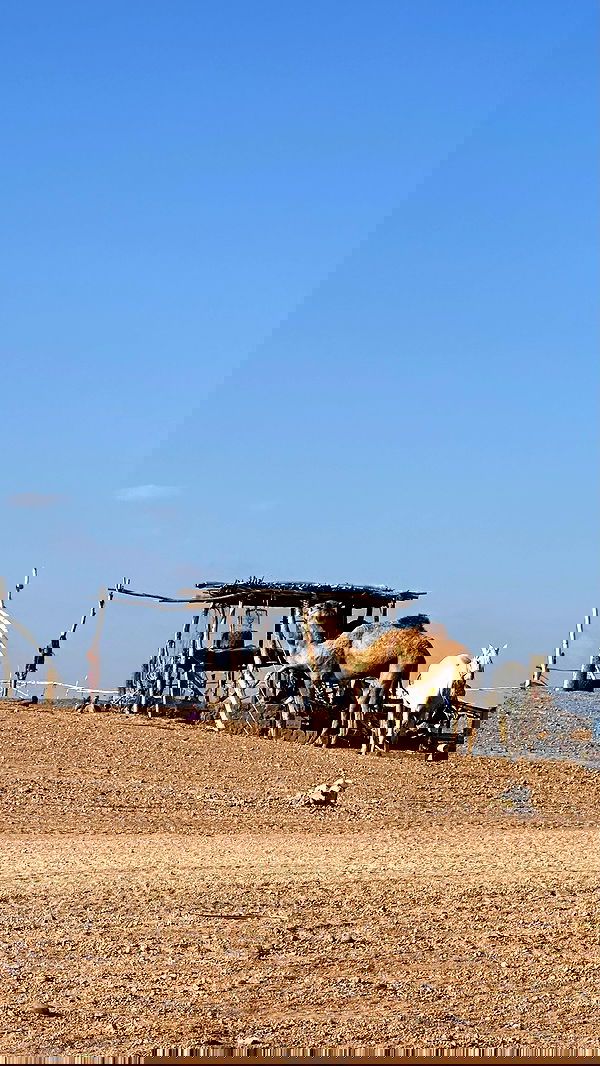 manjolamuriqi manjolamuriqi archive image