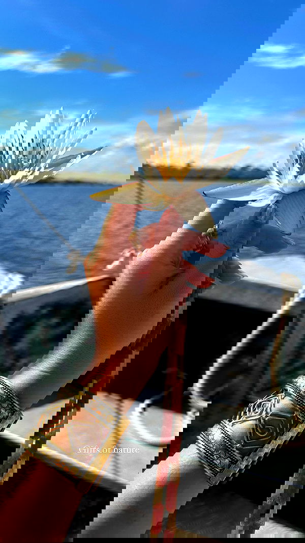 taylor.creeden taylor.creeden archive image