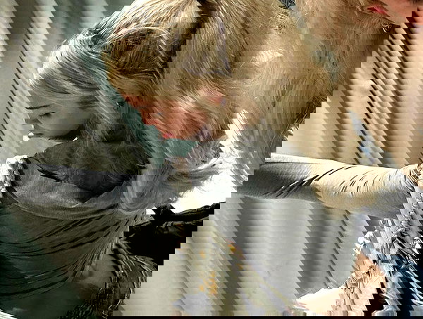 pradab4rbi333 pradab4rbi333 archive image