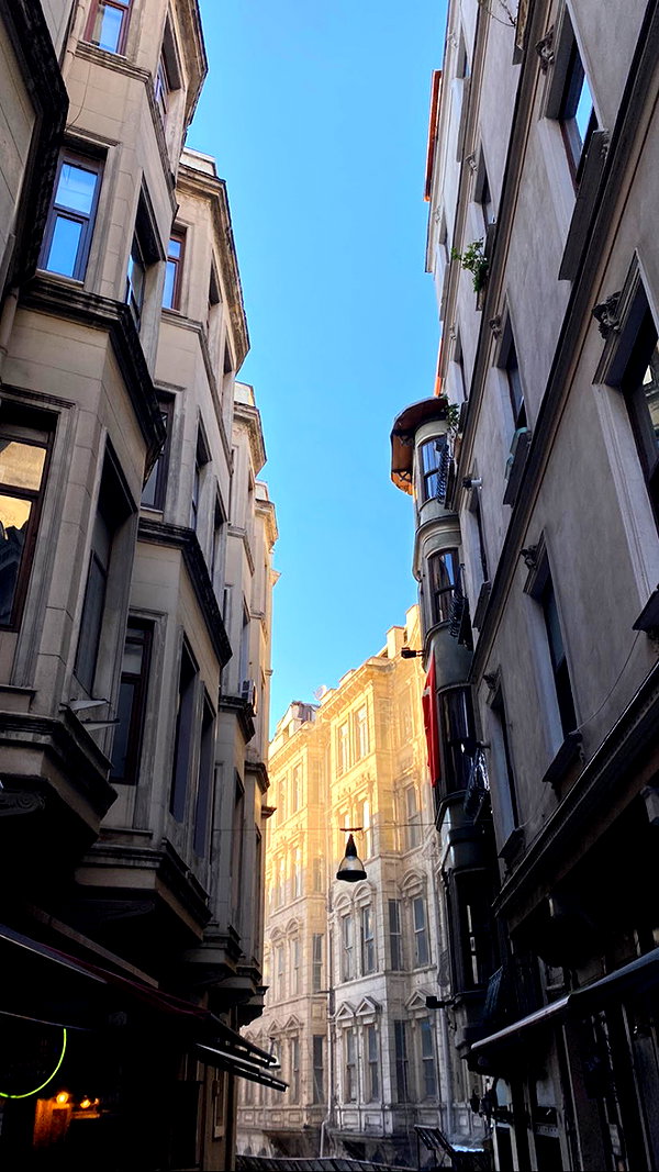 levsave instagram image archive image