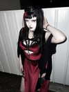 kittenfangsxx Altpins Profile Picture