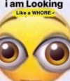 catl0verr69 Altpins Profile Picture