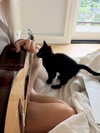jessie.ra3 Altpins Profile Picture