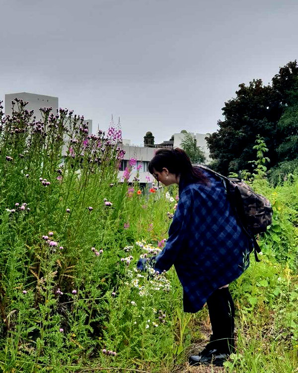 jahia_brown instagram image archive image