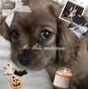 1uvgabi Altpins Profile Picture