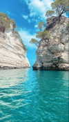 federica.piccinni Altpins Profile Picture