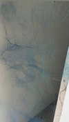 noy.razz Altpins Profile Picture