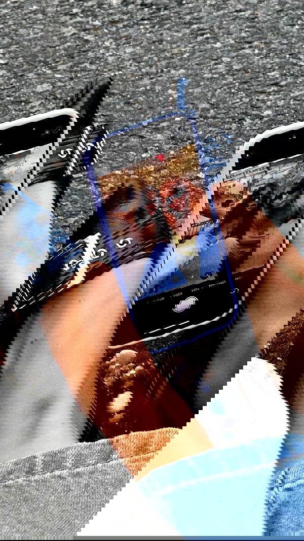 manjolamuriqi manjolamuriqi archive image