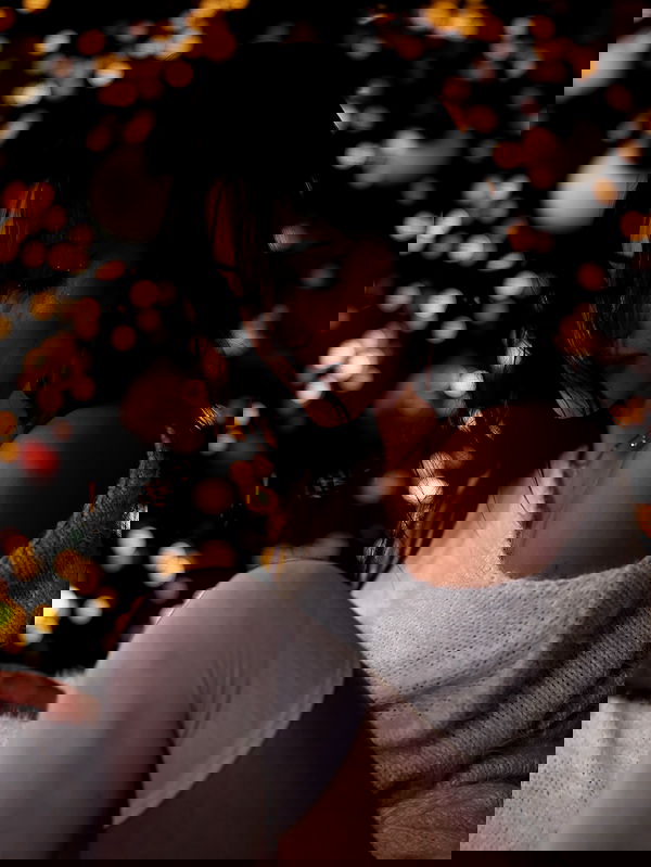 pollcherri pollcherri archive image