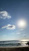 nicole_ac Altpins Profile Picture