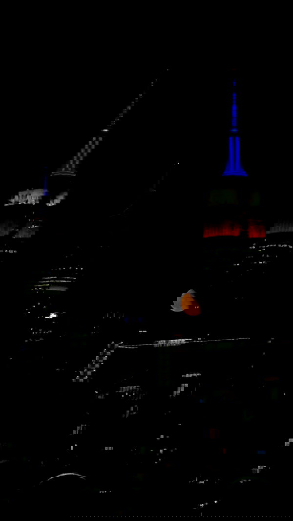 taylor.creeden taylor.creeden archive image