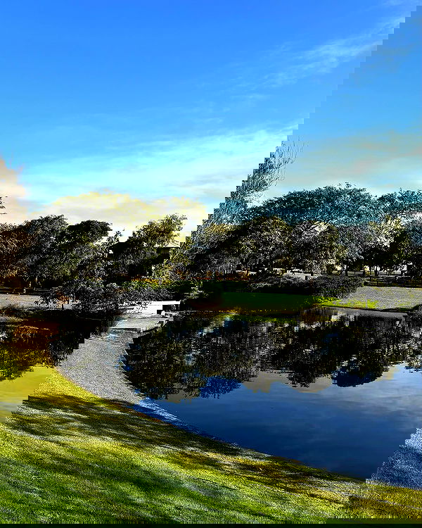 jtilb2 image ~ Altpins