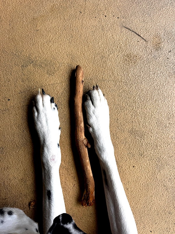 reneeebeller instagram image archive image