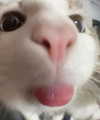 nyxaainaaa_ Altpins Profile Picture