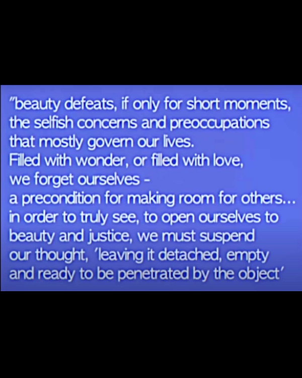 bugz4brainz instagram image archive image