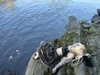 ash.onme Altpins Profile Picture