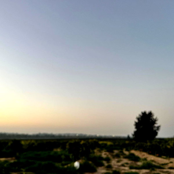 yanavekno instagram image archive image