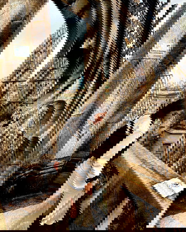 taylor.creeden taylor.creeden archive image