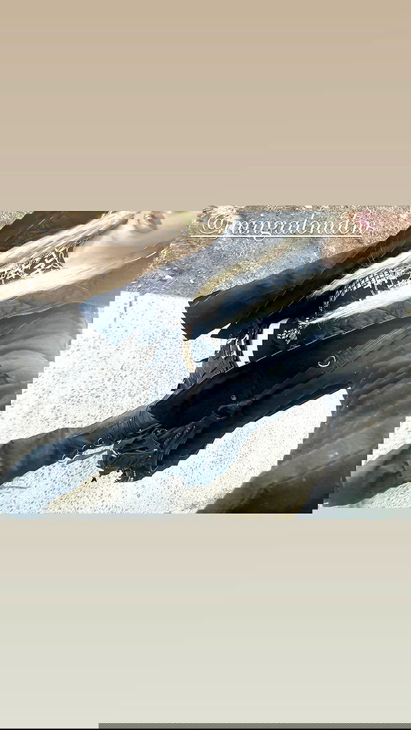 rchhhll rchhhll archive image