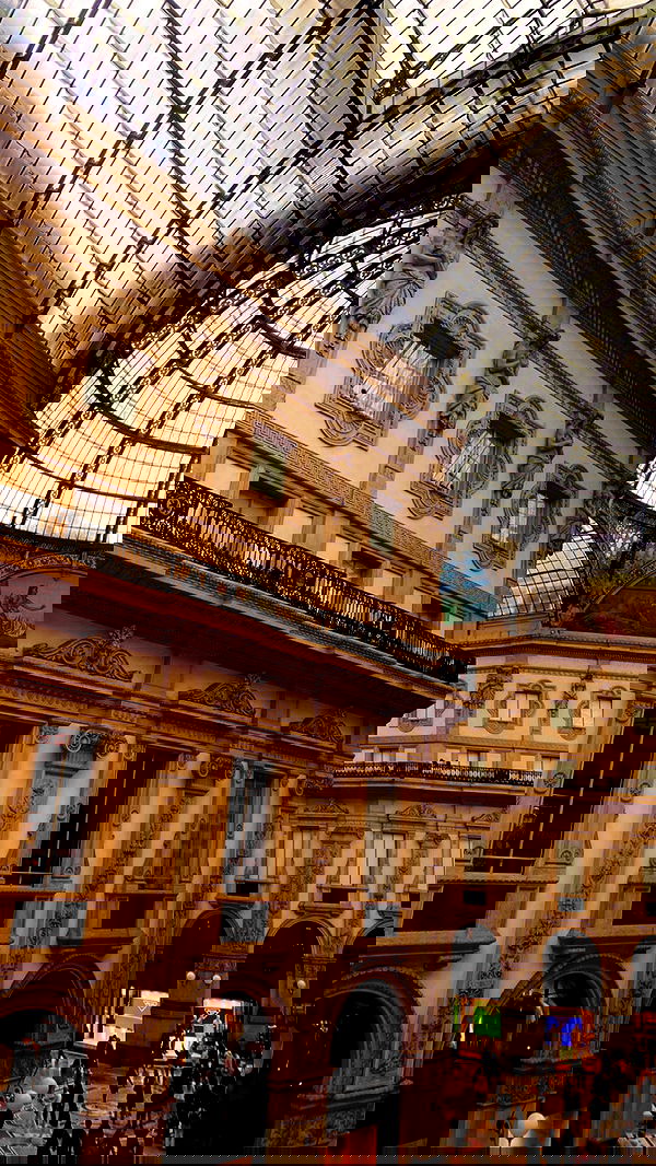 taylor.creeden taylor.creeden archive image