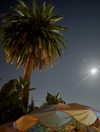 0nlygrlinthewrld Altpins Profile Picture