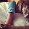sashapieterse Altpins Profile Picture