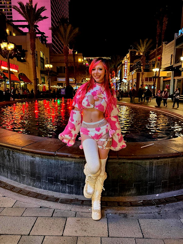 pixelpuppi instagram image archive image