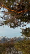 gritsa.k Altpins Profile Picture