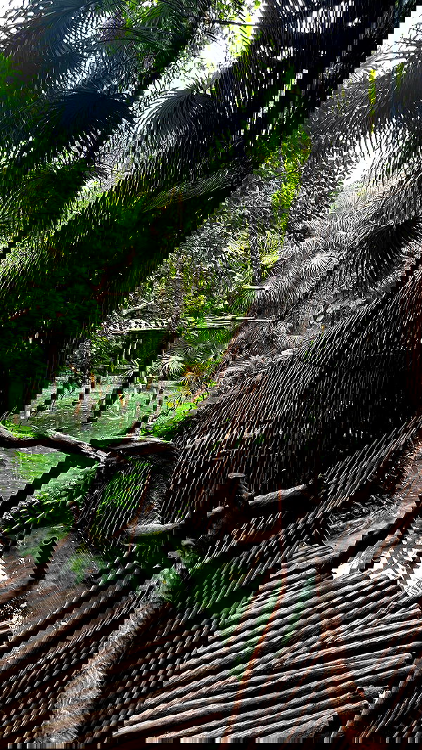 taylor.creeden taylor.creeden archive image