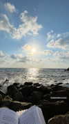 mishel_d_ Altpins Profile Picture