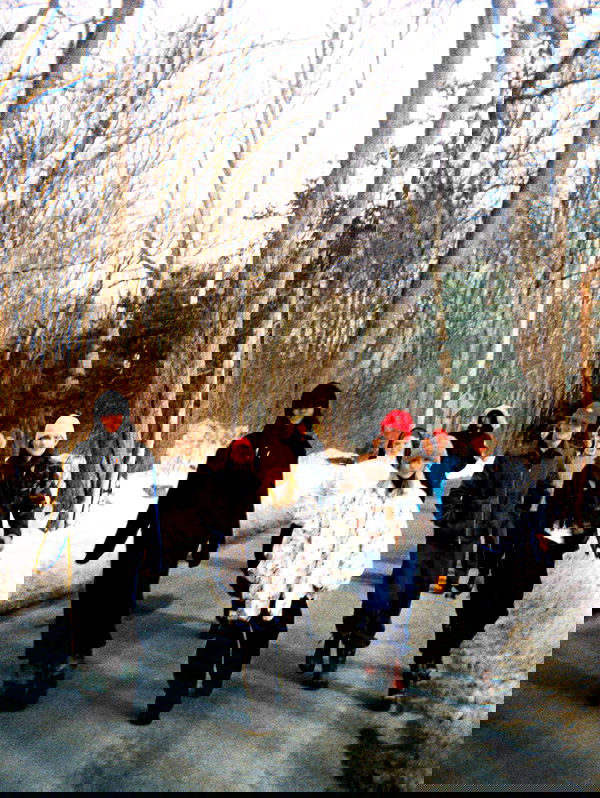 sabrinacarpenter sabrinacarpenter archive image