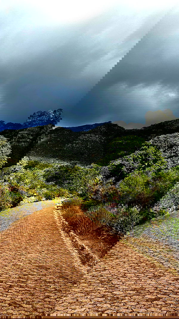 taylor.creeden taylor.creeden archive image