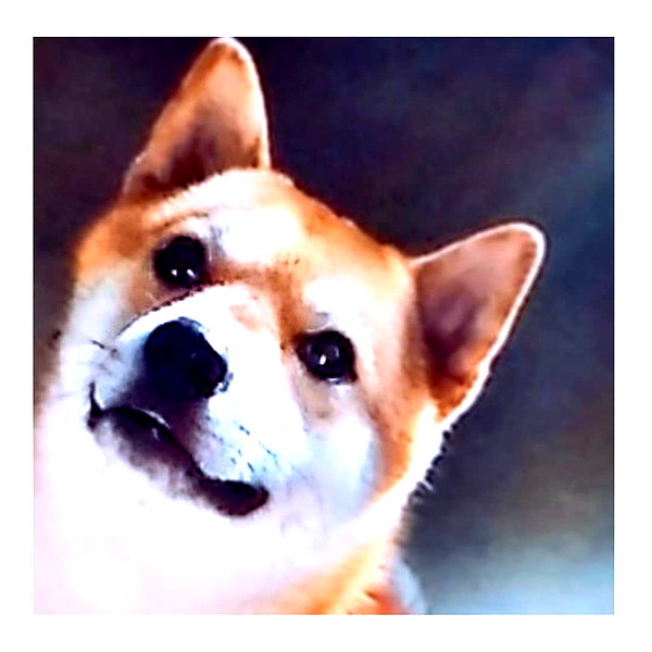 lai_931201 instagram image archive image