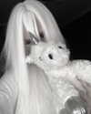 menorixqq Altpins Profile Picture