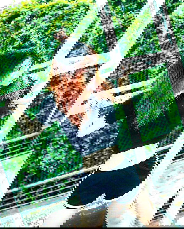 ting851204 ting851204 archive image