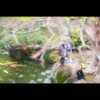 muze Altpins Profile Picture
