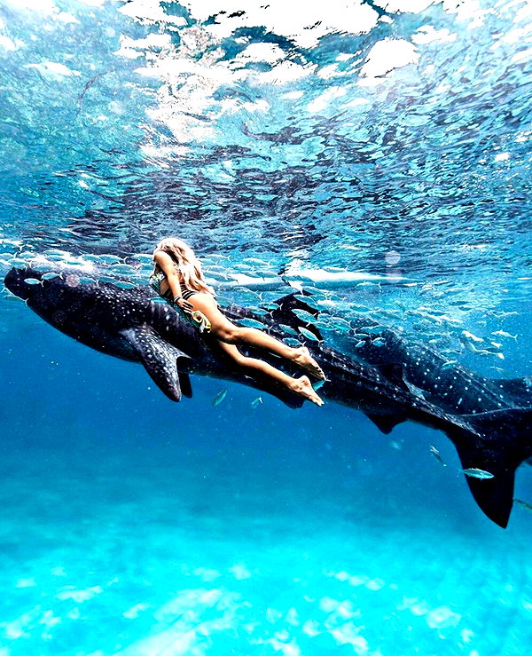 gabbyepstein instagram image archive image