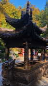 nikoleta.milenova Altpins Profile Picture